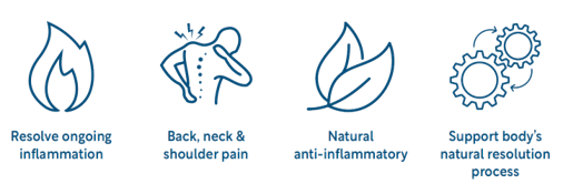 How can SPMs relieve inflammation