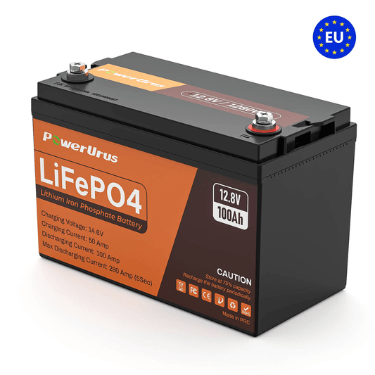 PowerUrus 12V 100Ah Self Heating LiFePO4 Lithium Battery APP and Low  Temperature Protection
