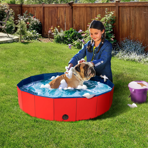 lionto Piscine pour chien pliable en PVC bassin pour chiens baignoir pour  chien