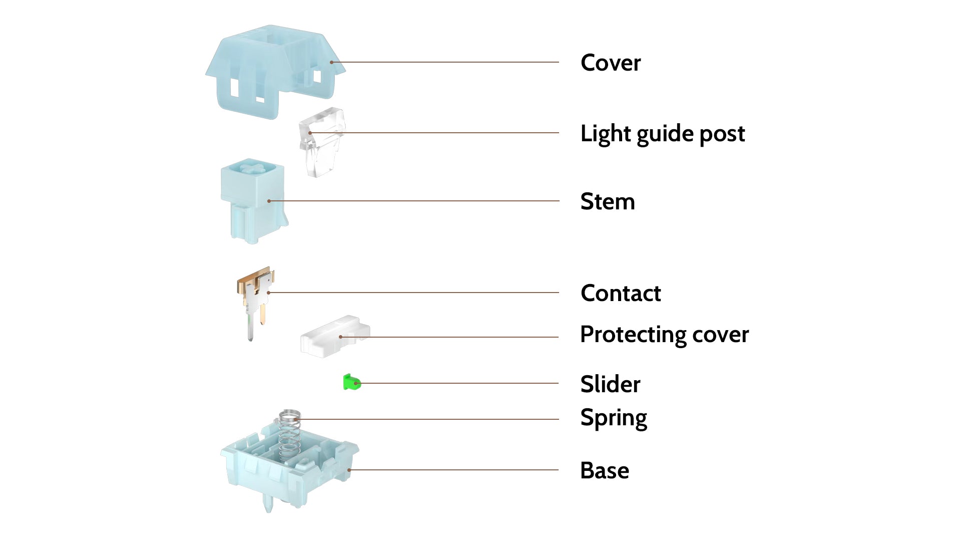 Kailh Box Winter Tactile Switch Structure