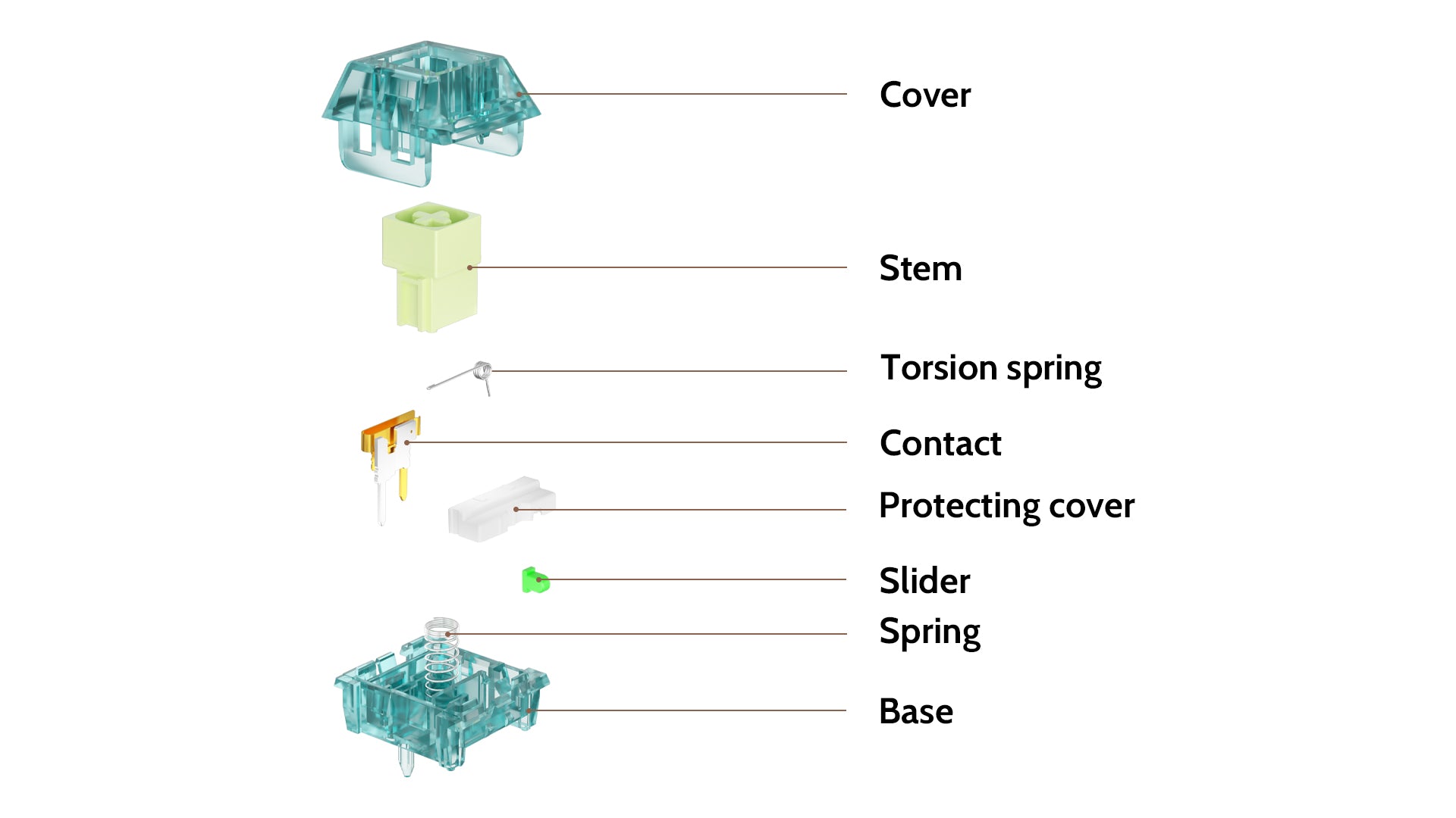 Kailh Box Summer Clicky Switch Structure