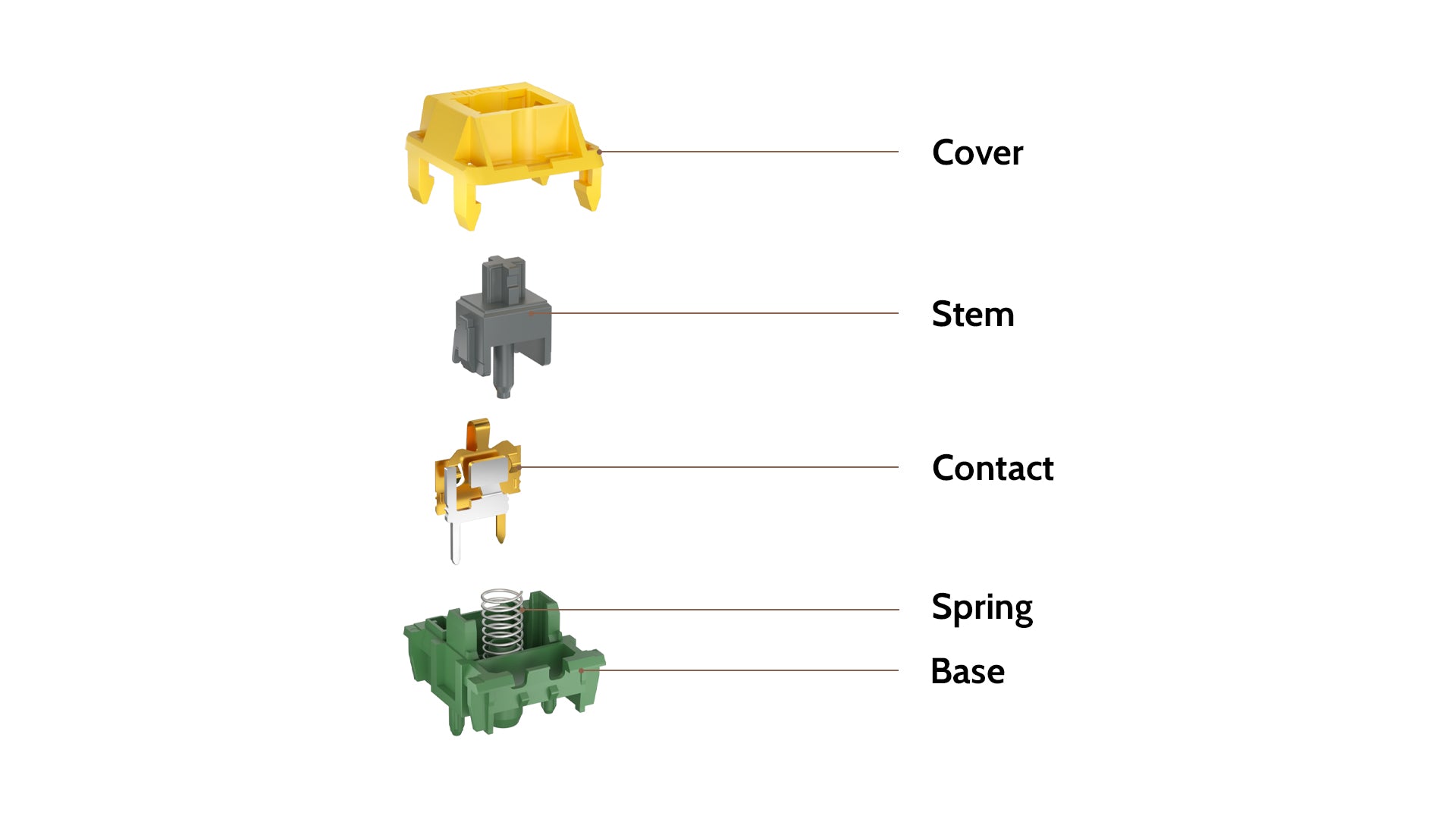 Kailh Canary Tactile Switch Structure