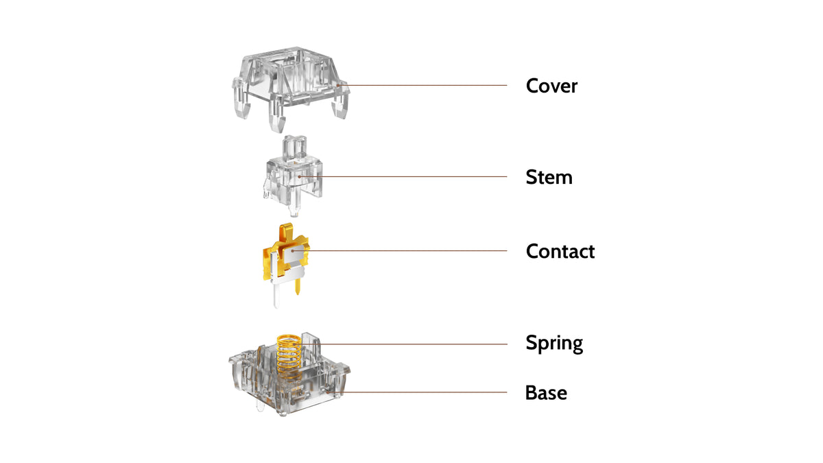 Kailh Clione Limacina Switch Structure