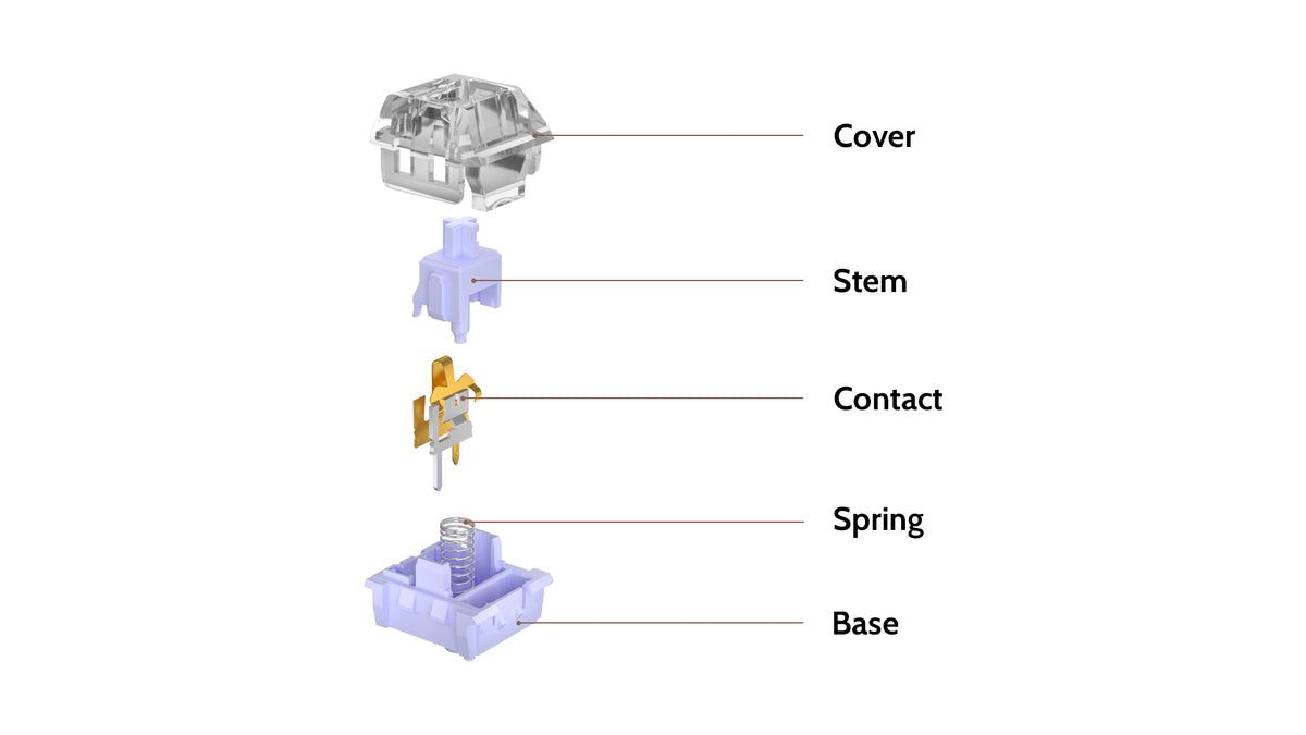 Kailh Polia Tactile Switch Structure