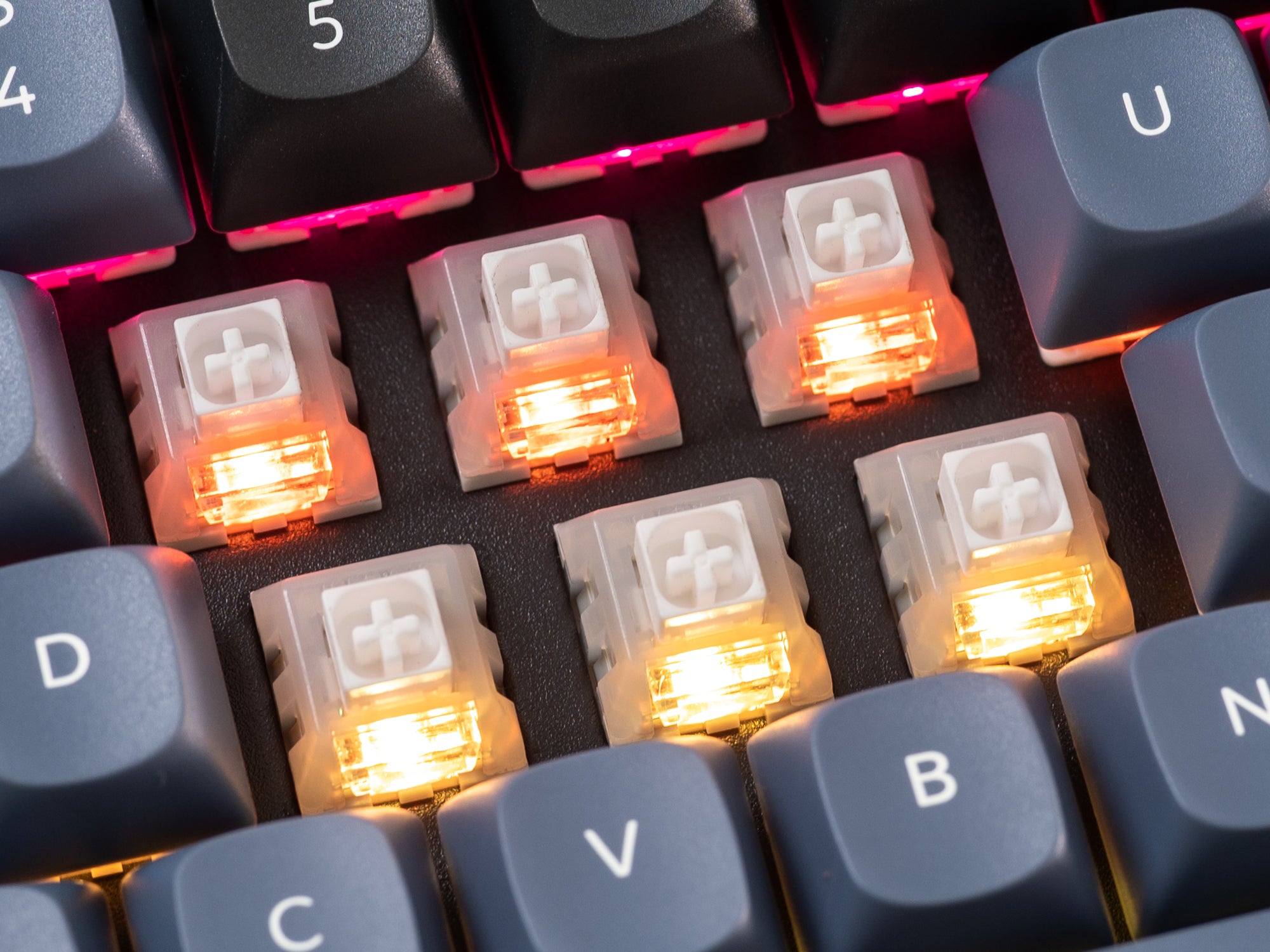 Kailh White Owl Switch Backlight