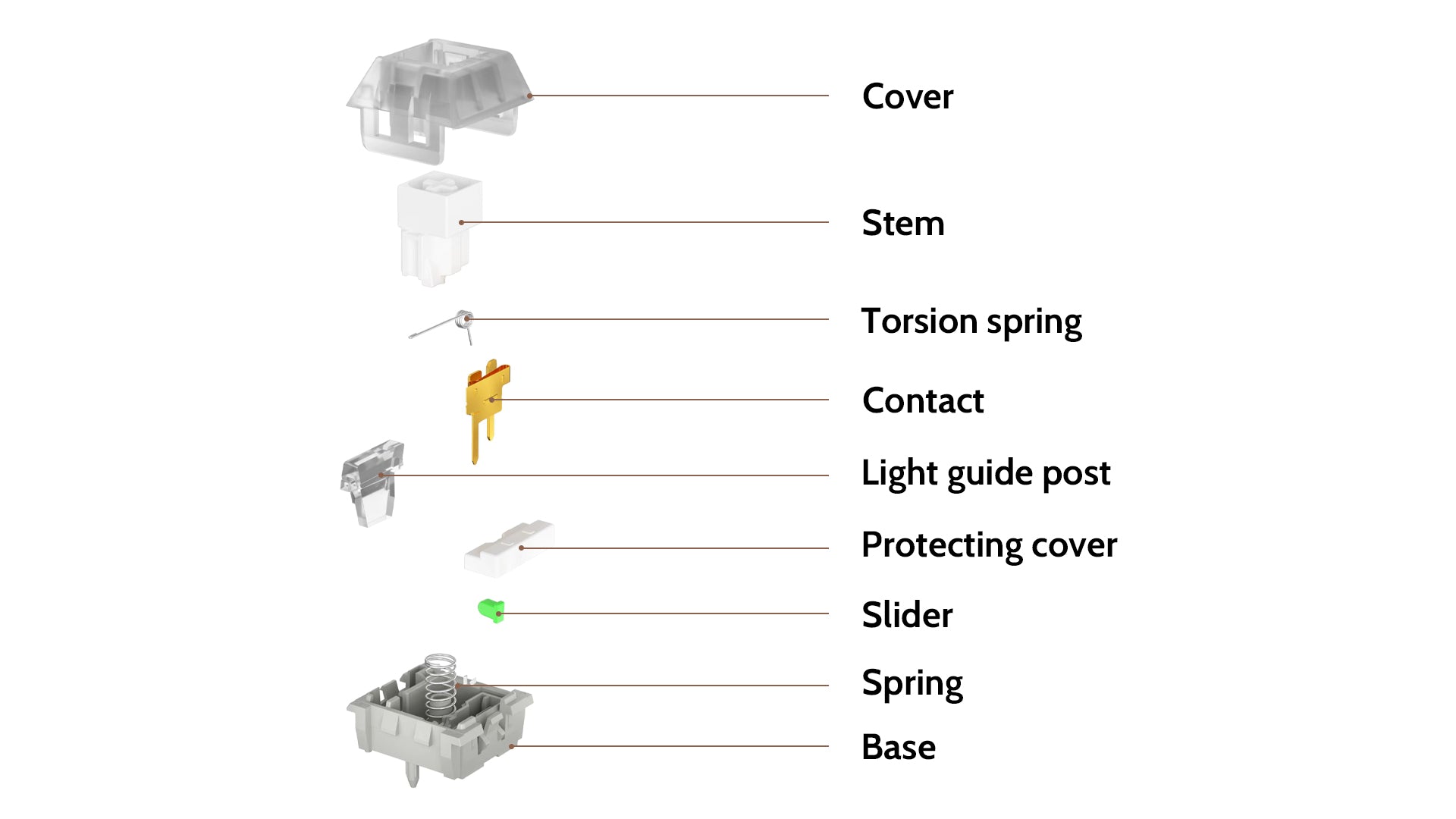 Kailh White Owl Switch Structure