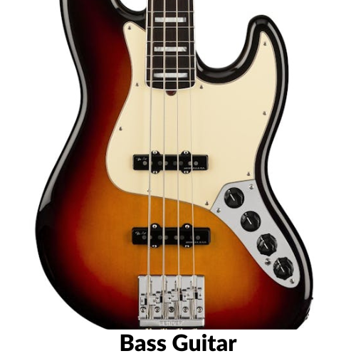 Bass Guitars