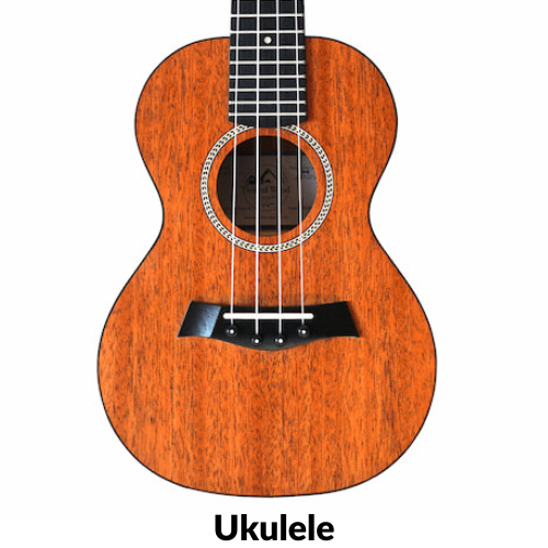 Ukulele