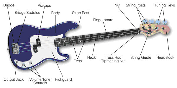 How to Choose a Perfect Bass Guitar