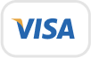 visa icon