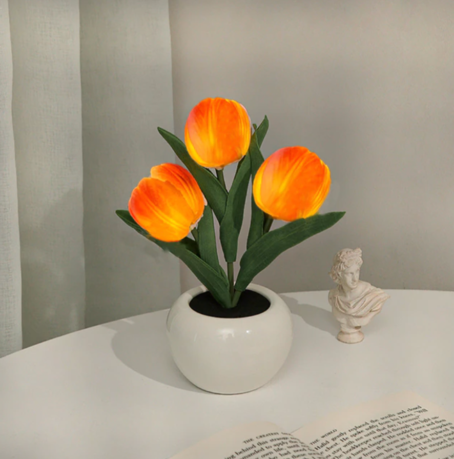 Tulip LED Lamp – studio