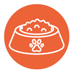 Food Iconos Salmon Oil.png__PID:5a7c5d29-36c1-42e1-a1c5-943b3f8a1443