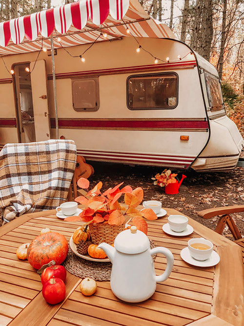 Cooking a Thanksgiving Feast in an RV