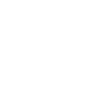 Vegan