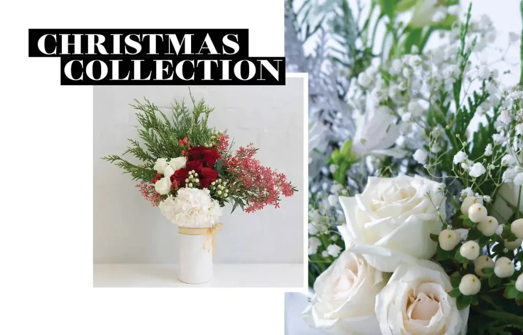 shop christmas flowers and gifts