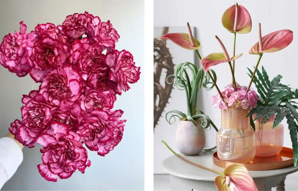 carnations and anthurium