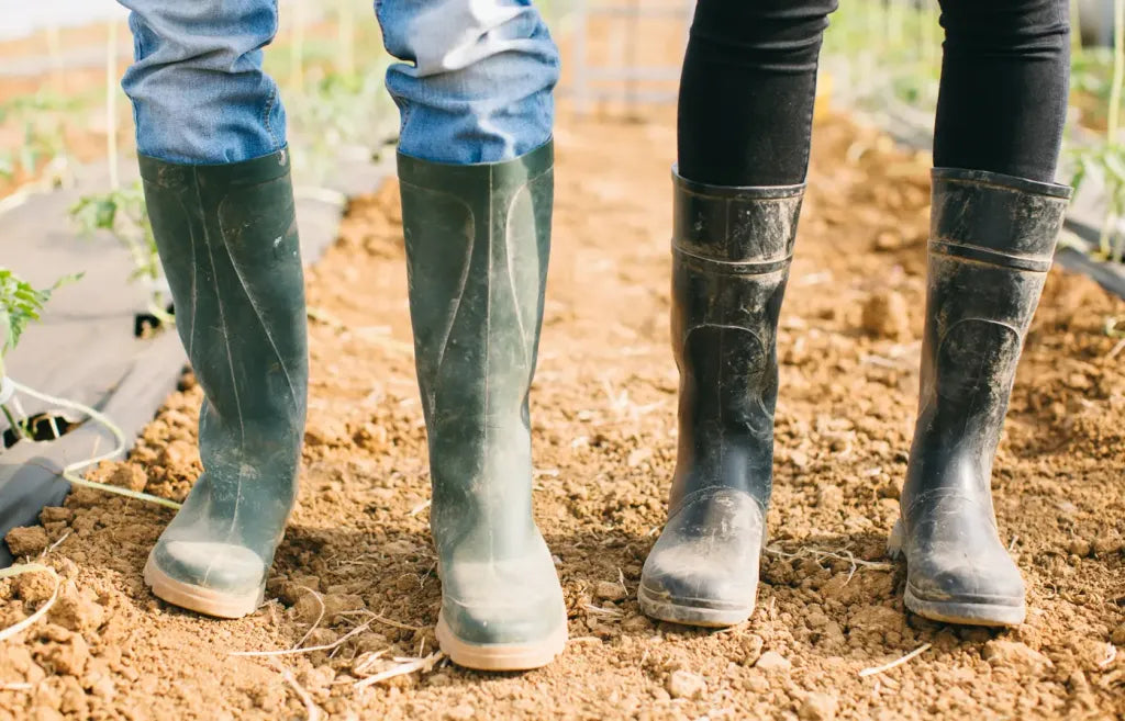 couple wearing gumboots