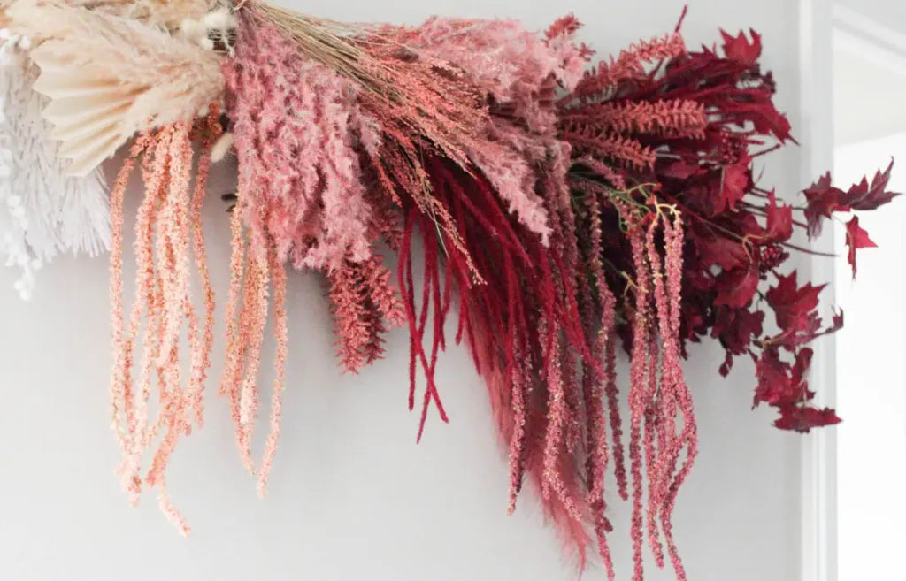 amaranthus