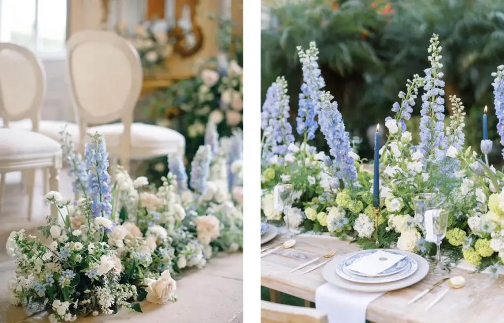 delphinium flowers