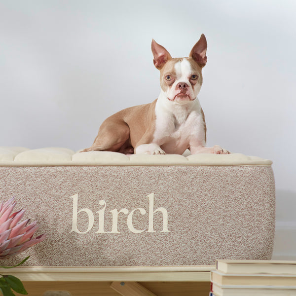 Birch Natural Mattress