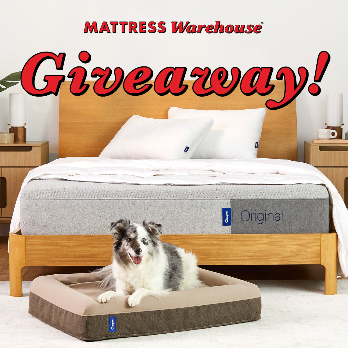 Mattress Warehouse National Dog Day Giveaway! · Mattress Warehouse