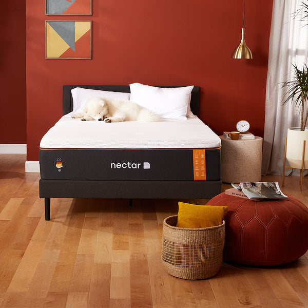 Nectar Premier Copper Memory Foam Mattress In Bedroom With Sleeping Puppy