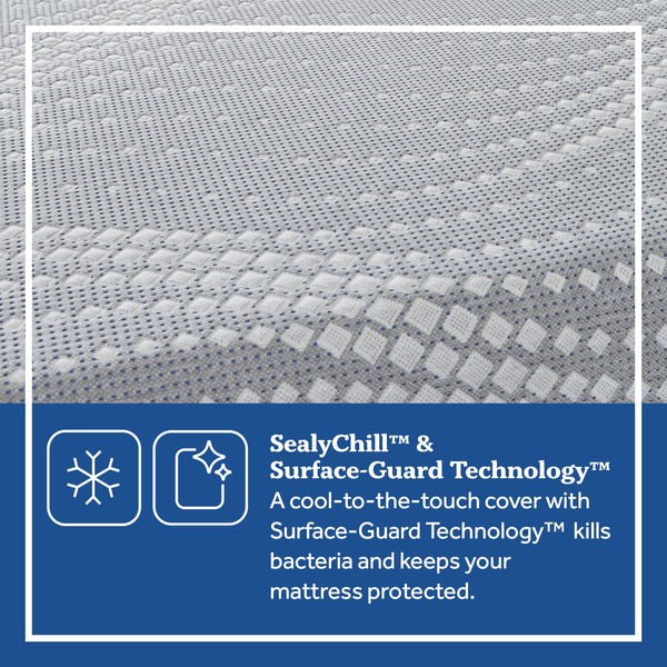 Sealy Crofton Firm Foam Mattress Features Guide