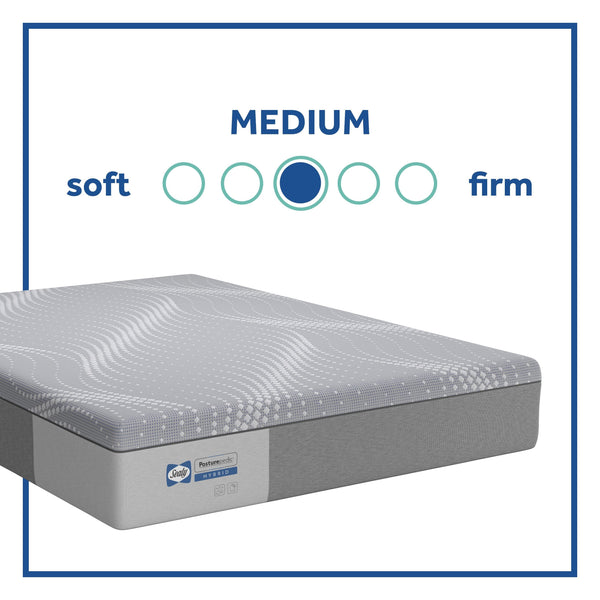 Sealy Hybrid Fendler Medium Mattress Comfort Guide