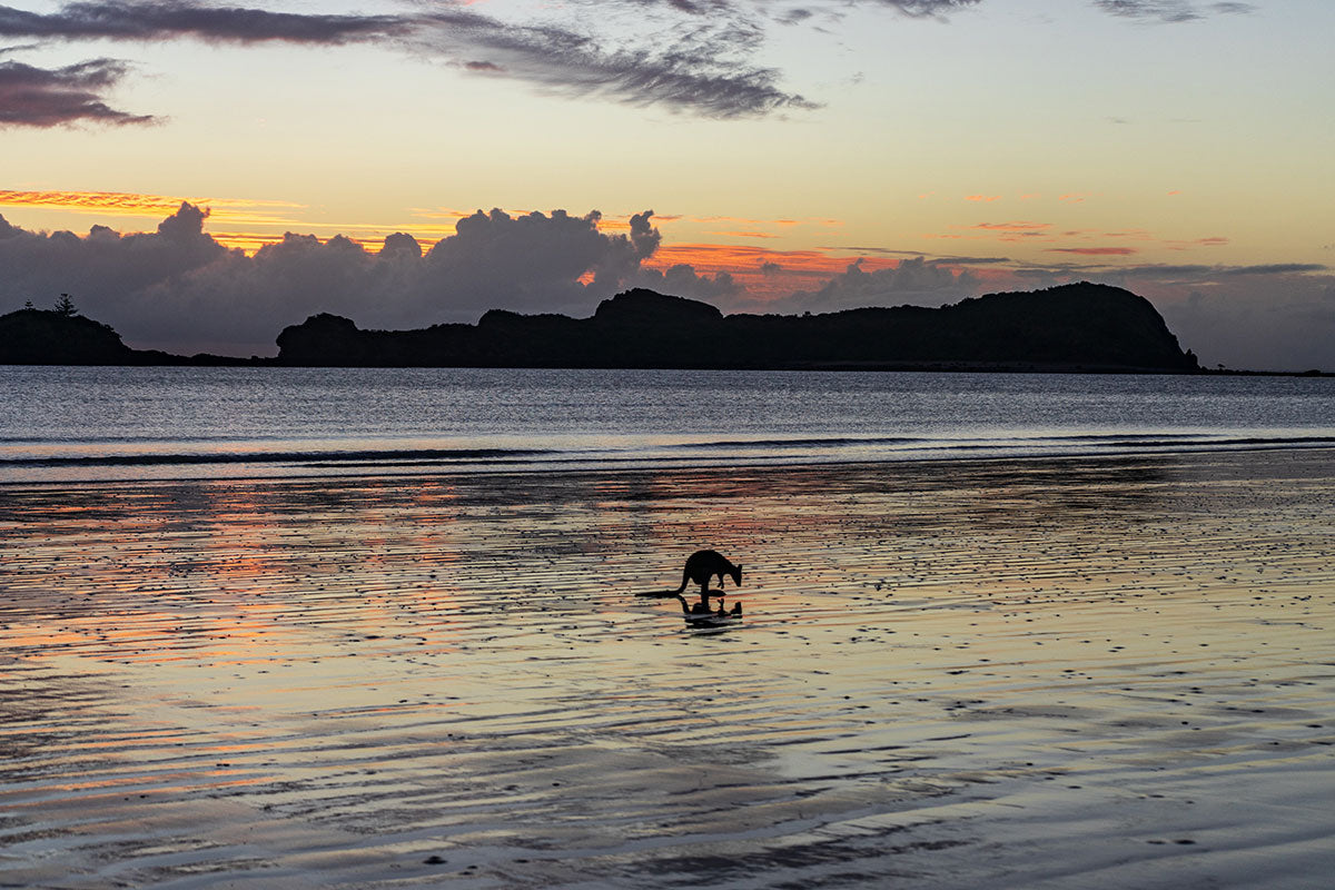 Cape Hillsborough