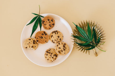 cookies cbd edible