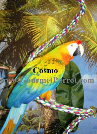 Aspen Booda - Comfy Perch for Large Birds - 28 inch