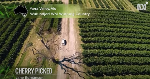 Gardening Australia Yarra Valley Cherries Video