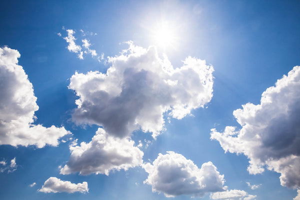 Sunny Sky Partly Clouded Blue Nest Beef