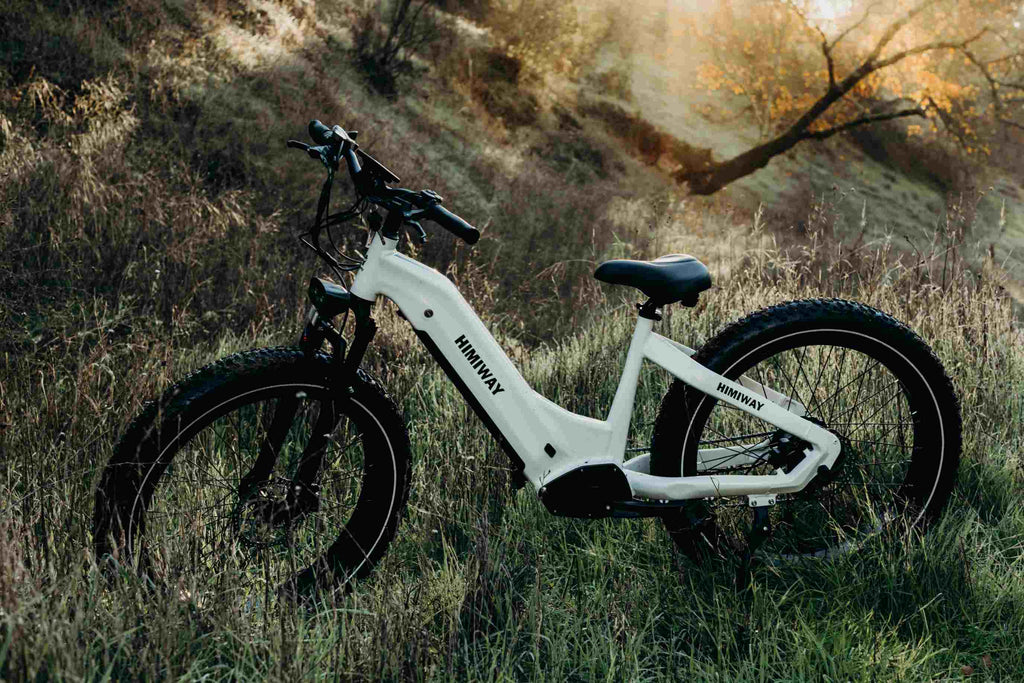 Why Are E-bikes Safe for Seniors? | Himiway