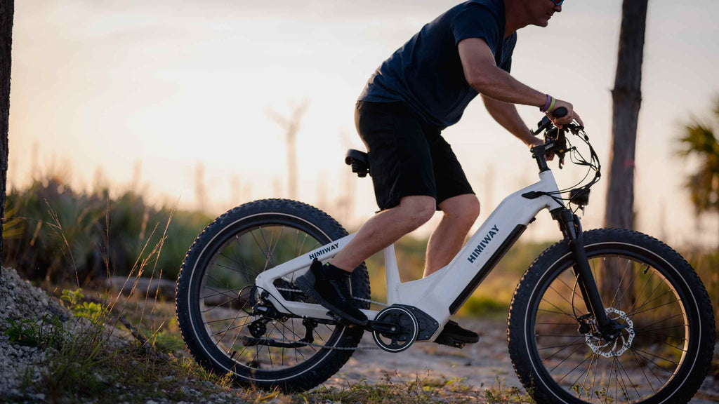 Which e-bike for knee problem?