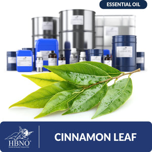 Cinnamon Leaf Essential Oil - HBNO Bulk