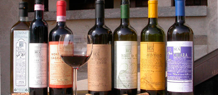 Wines of Paolo Bea
