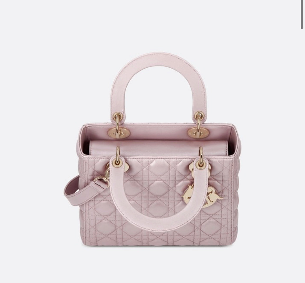 lady dior bag medium