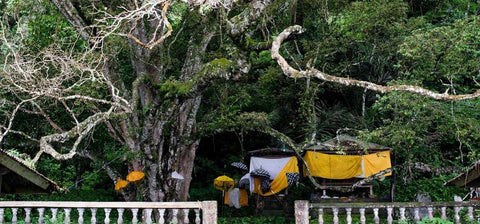 Small bamboo dwellings with white and yellow cloth over them underneath trees in the vast forest.