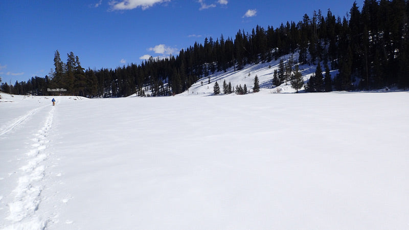 Frozen Lost Lake