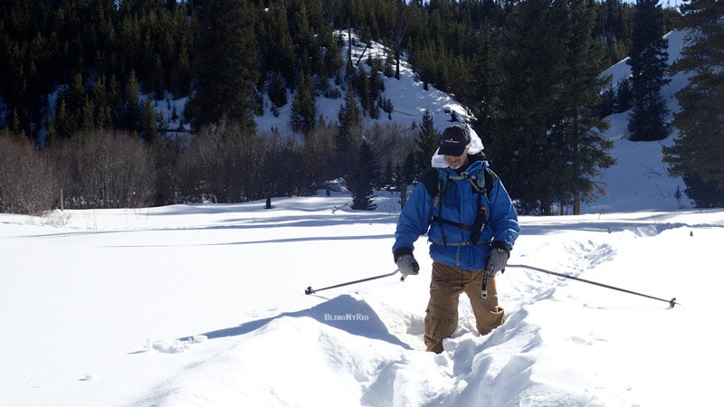 1der steps into the bison tracks