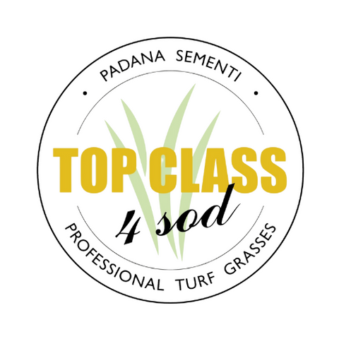 Padana Sementi top class 4 sod