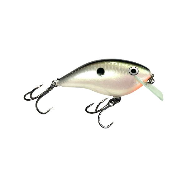 The WORLDS FIRST Saltwater Swimbait (Mike Bucca Bull Mullet) 