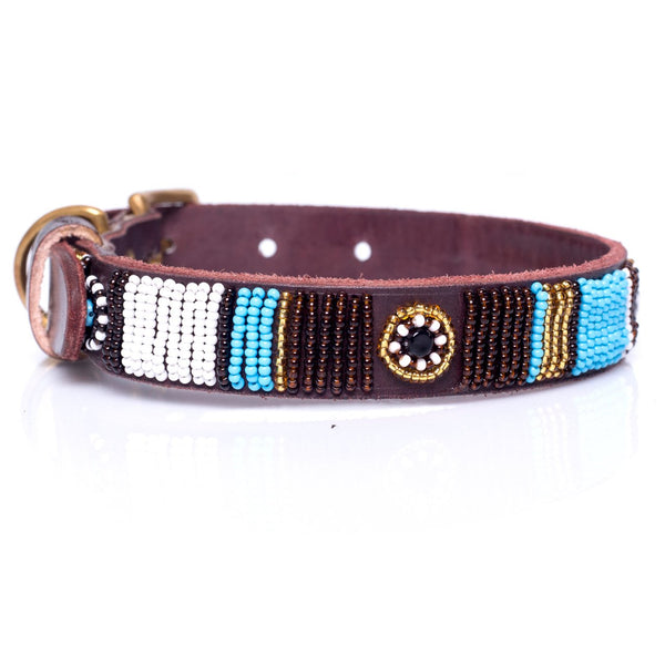 Blue multi dog collar