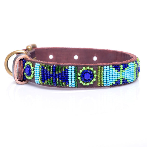 Blue Green  multi dog collar