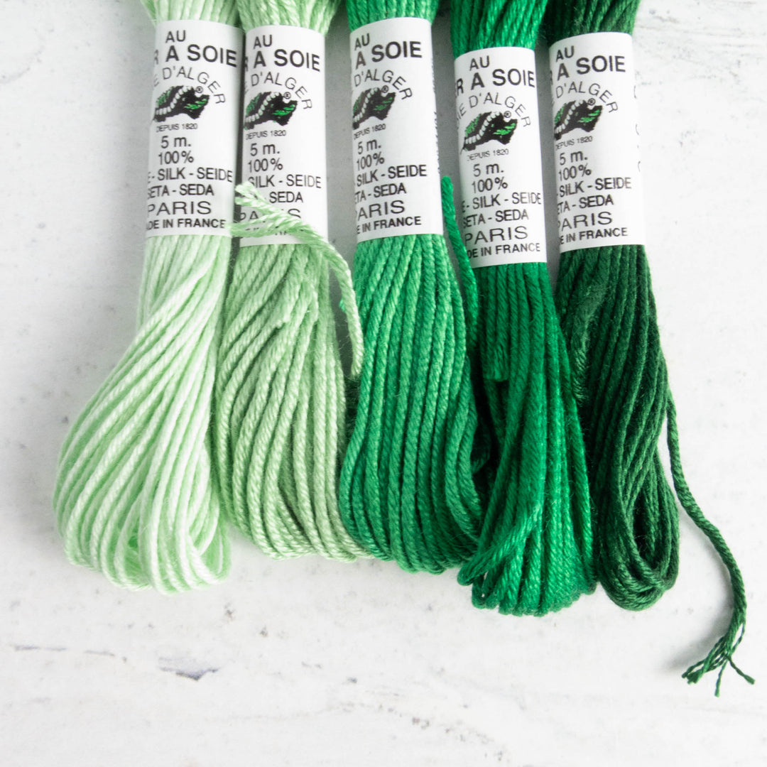 Soie D'Alger 3814 Lichen silk embroidery thread - Maydel