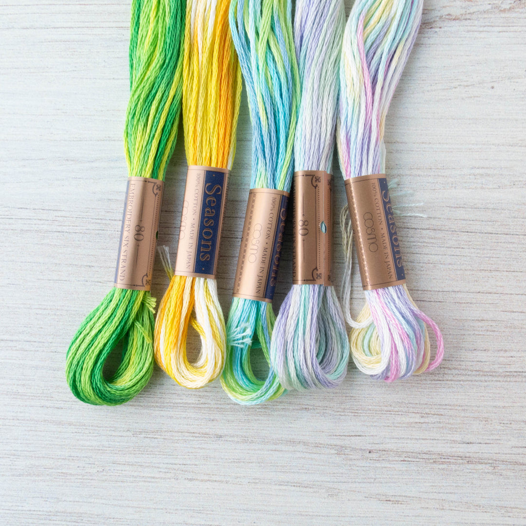 Cosmo Seasons Variegated Embroidery Floss (8027 - 8037) - 8029