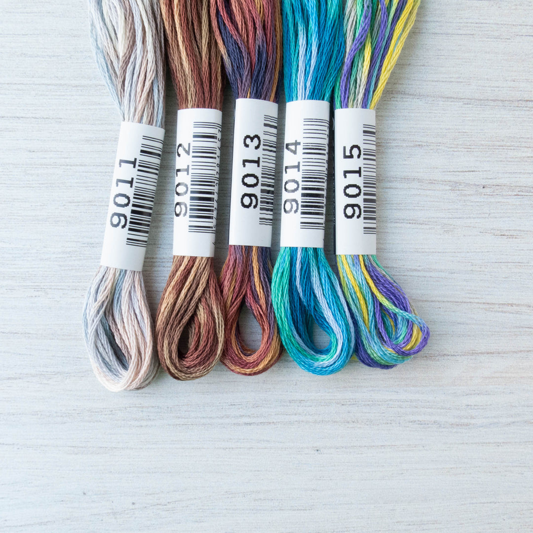 Cosmo Seasons Variegated Embroidery Floss Set - 9000 Series