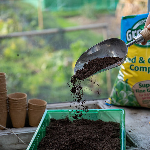 seed sowing compost