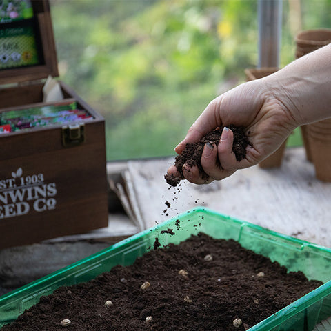 cover seeds with compost